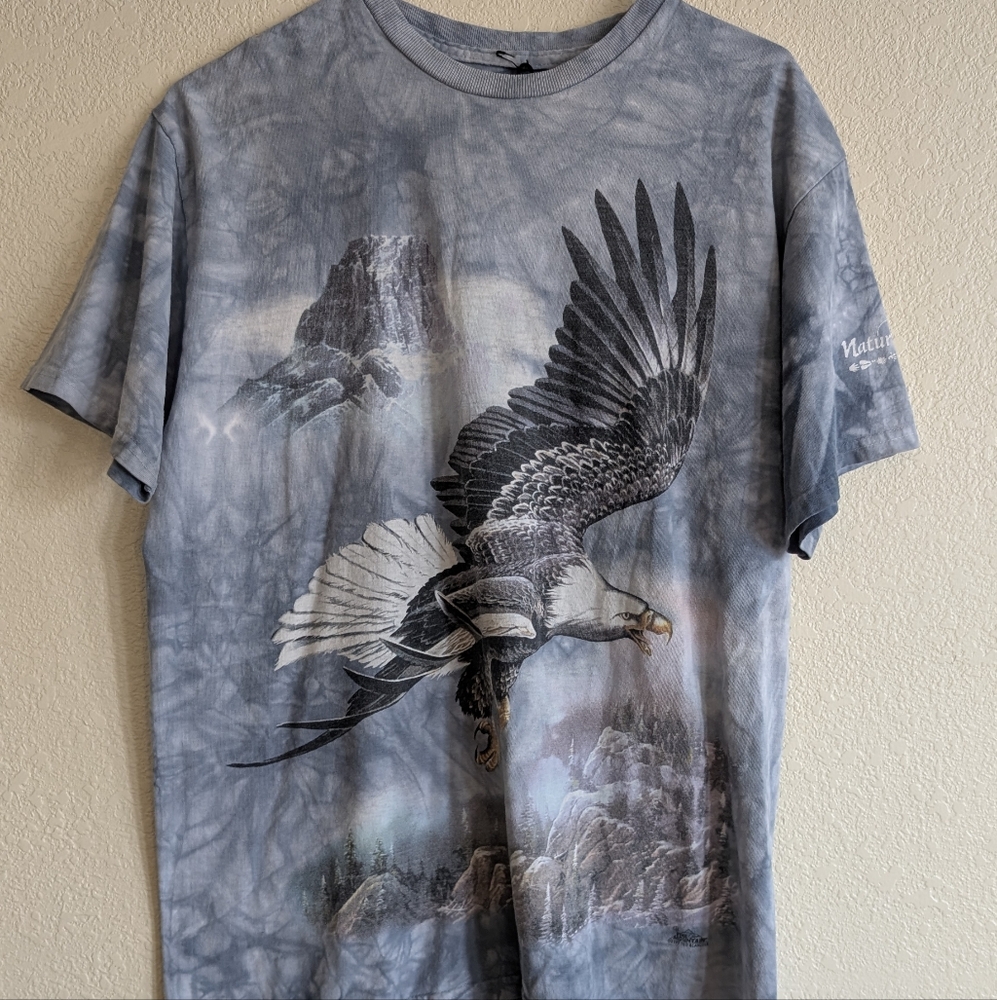 The Mountain Gray Eagle Graphic Men's Tee
